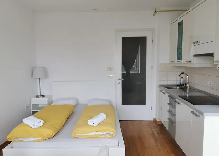 Trnovo With Free Parking 公寓 卢布尔雅那